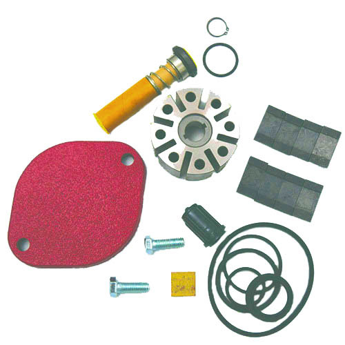 Fill-Rite 700KTF2659 Pump Repair Kit for Series 700B